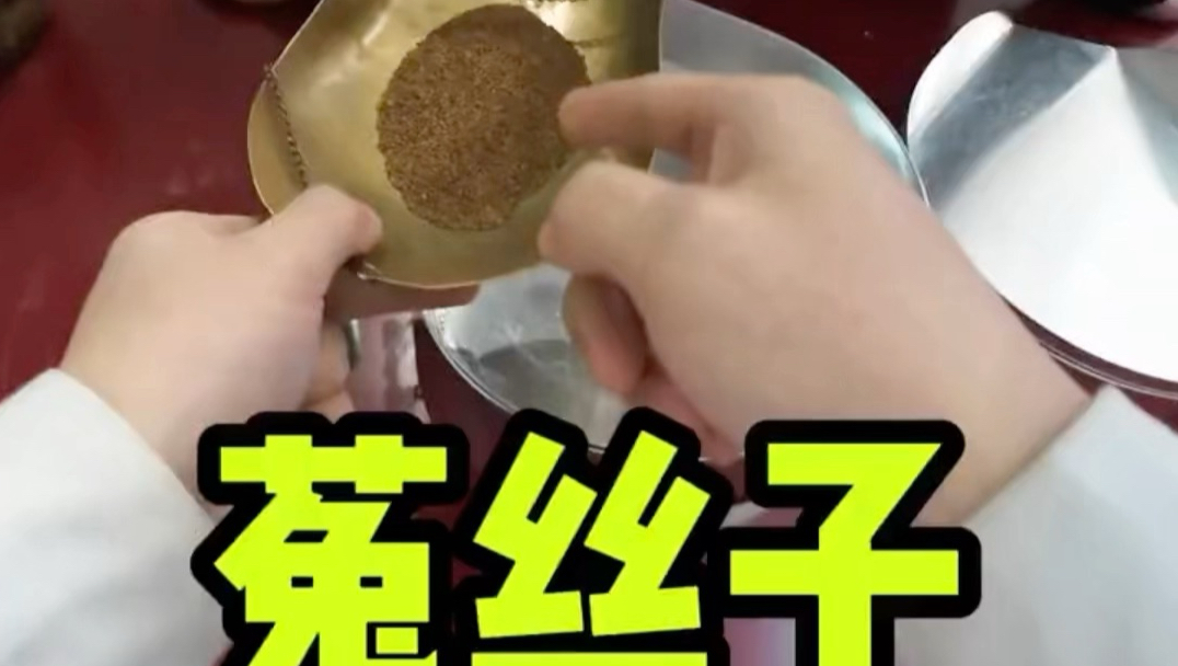 大哥来找能吐丝的种子，说给一个朋友的 #种子 #猎奇好物