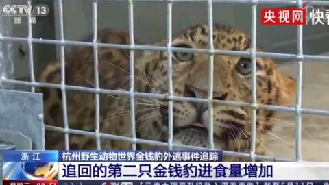 3877557ba6ae1dac84b6679b521ca54bbec88108.jpg@480w_270h_1c