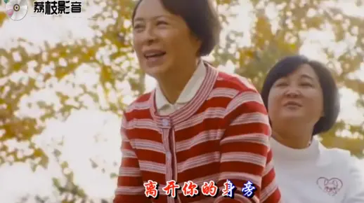 张小斐的《萱草花》，你好李焕英电影主题曲