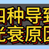 快看是哪四个原因导致你网络信号卡顿