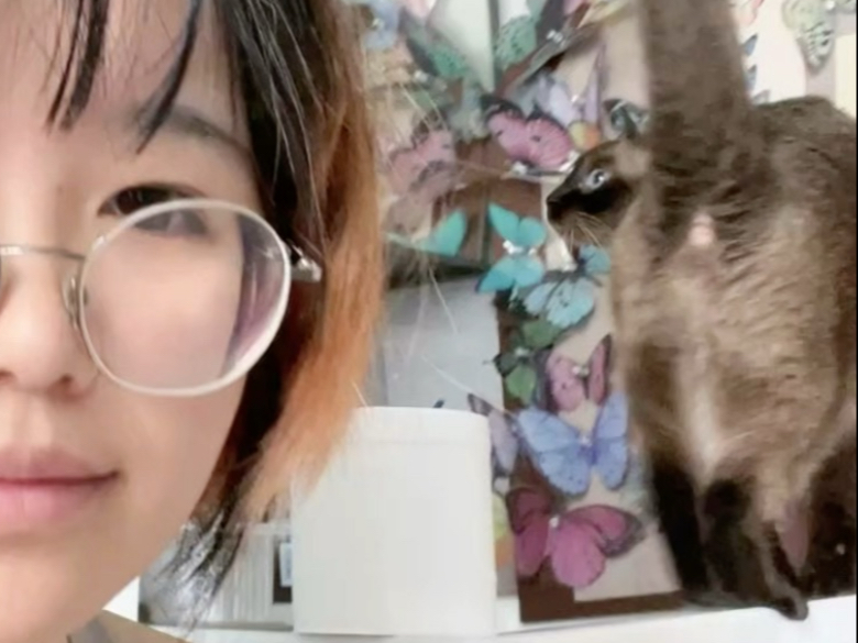 Boss, what are you doing?