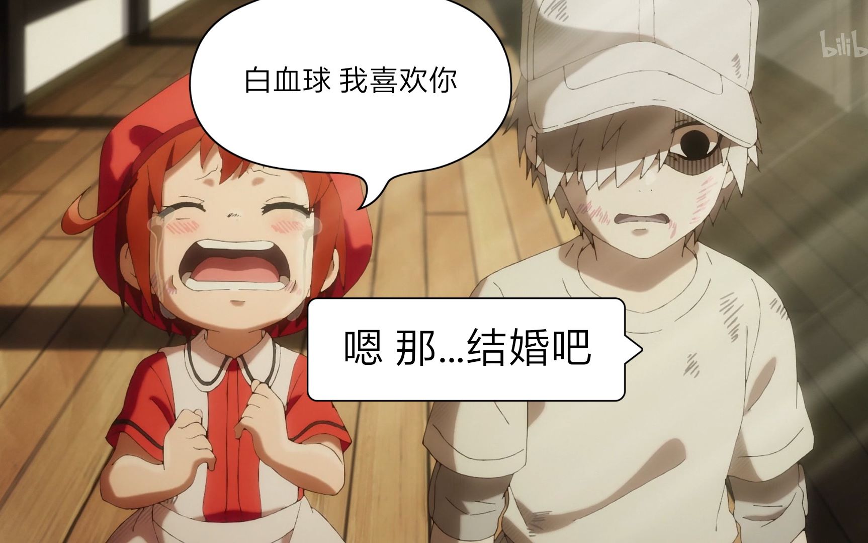 红血球与白血球的相遇 相识 相知 相爱 哔哩哔哩 つロ干杯 bilibili