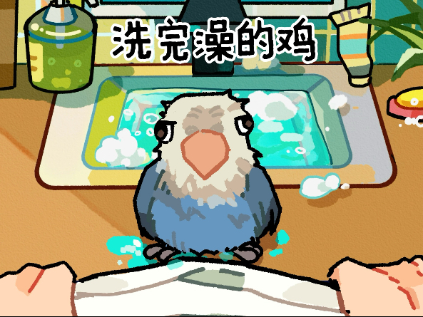 为什么小鸡洗完澡都有股怪味…
