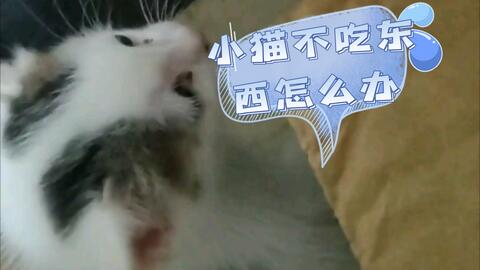 38a852c5f383a30bf61612d06b75aa3eabe99189.jpg@480w_270h_1c
