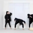 【lisa rhee】BTS 防弹少年团—黑天鹅 镜面舞蹈教学