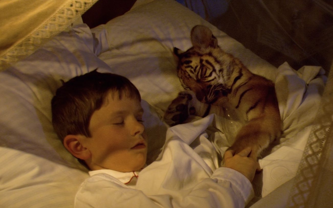 【越哥】一部罕见的冒险电影，光看题材就值五颗星！