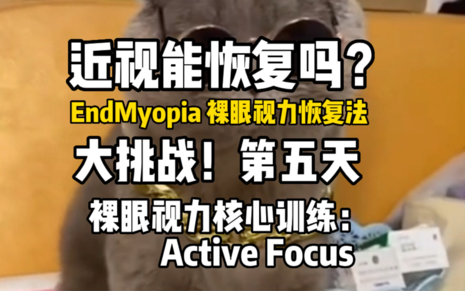 第五集｜帮助上万近视人群恢复裸眼视力的Endmyopia视力训练法—Active Focus主动聚焦训练