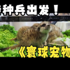 【2023上海寰球宠物博览会】特种兵带你体验神奇宝贝们