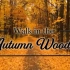 【4K】秋天森林电视背景音乐。走进秋天的森林，落叶与风景。
