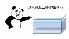 38ebc19b17de958a3b7fe9da7bc5acf1aa399a0c.jpg@280w_158h_1c_100q.jpg