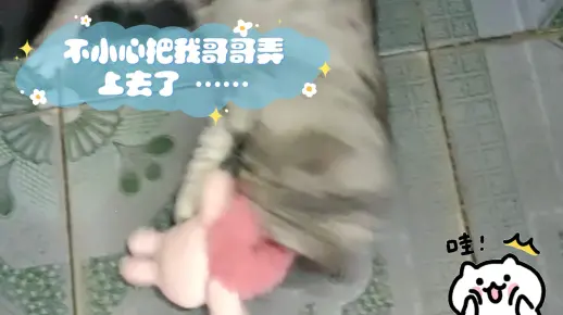 不小心把我哥哥弄上去了 ……