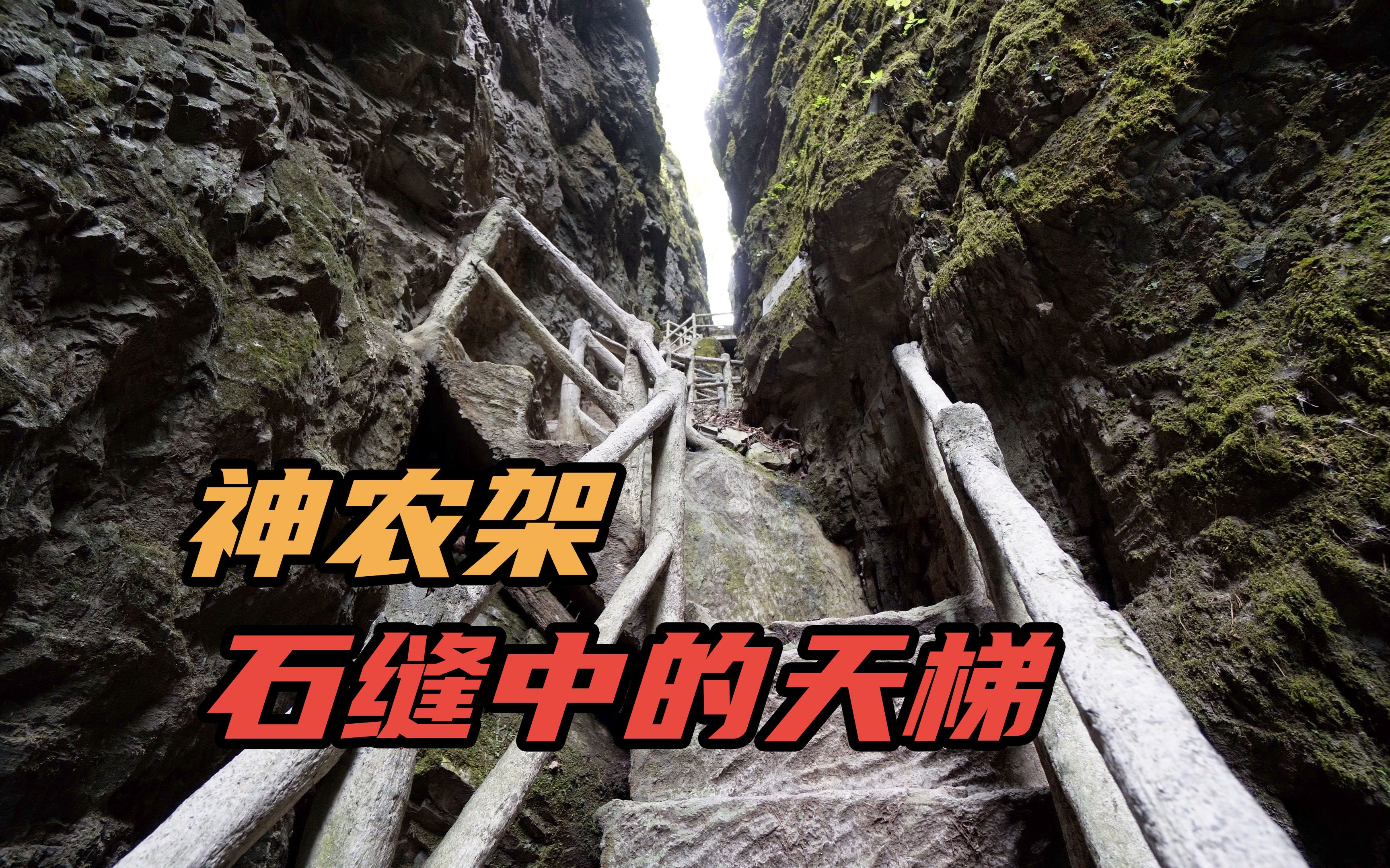 神农架画廊谷，一线天爬天梯上峰顶，整个过程太惊险了
