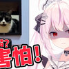 日本萝莉看恐怖猫片笑着看最后被吓到口胡