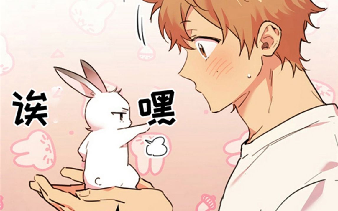 漫画有谁会拒绝一只可爱的兔兔呢夏菲菲的兔子