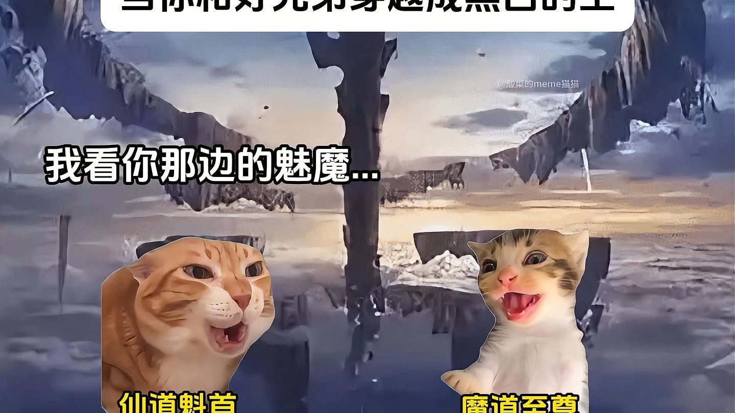 当你和好兄弟穿越成黑白的王，这些年来你变了！