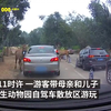 警方通报“游客疑似给动物喂口罩”：非故意投喂