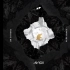 Avicii&Aloe Blacc - Please Forgive Me在纪念直播中放出的版本.