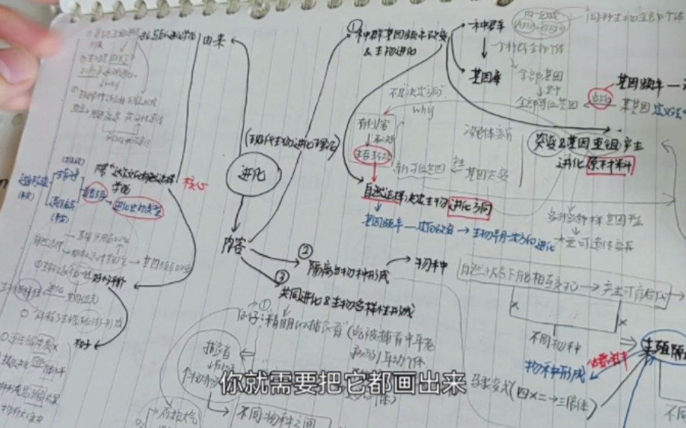 怎么做到高考生物90+？