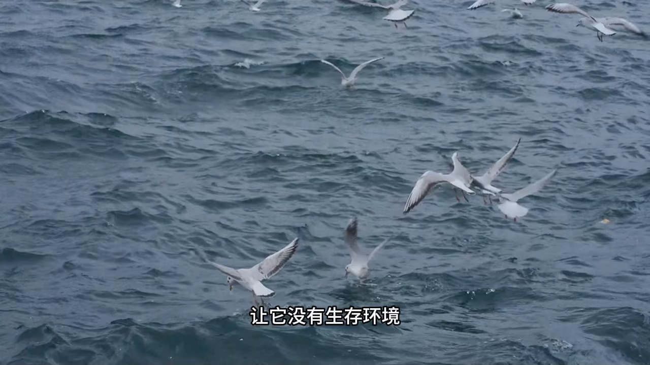 99%的人都没能意识到，在自己内在深处正潜藏着一个痛苦之身！那些折磨你的负面情绪很可能就是它引起的！