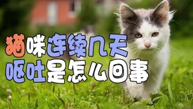 392cdeb078babda69923714fa305b8e16f7a76b5.jpg@280w_158h_1c_100q.jpg