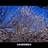 探秘世界文化遗产—中国篇