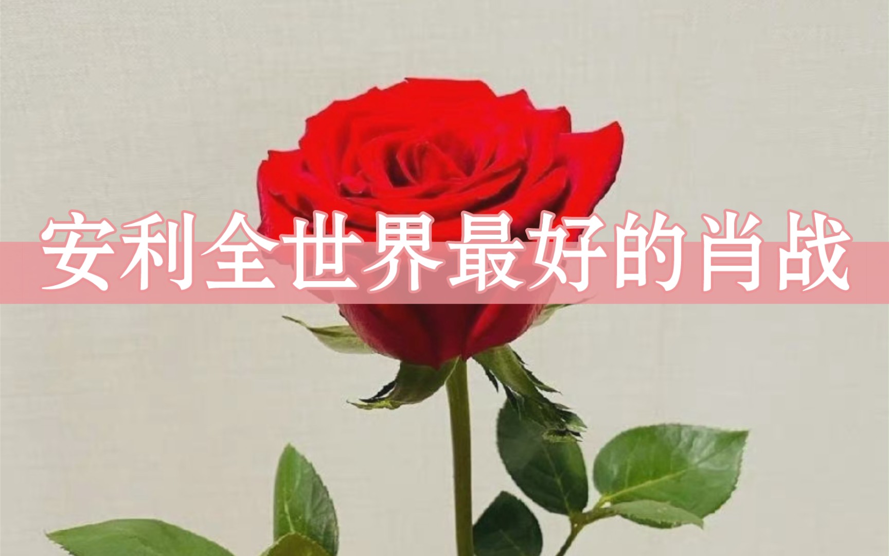 【肖战与花】见过花开就好了，又何必在乎花属于谁，你记得花，花就不会枯萎