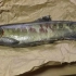 【日料刀工系列】太平洋鲑鱼分解和鲑鱼肉干