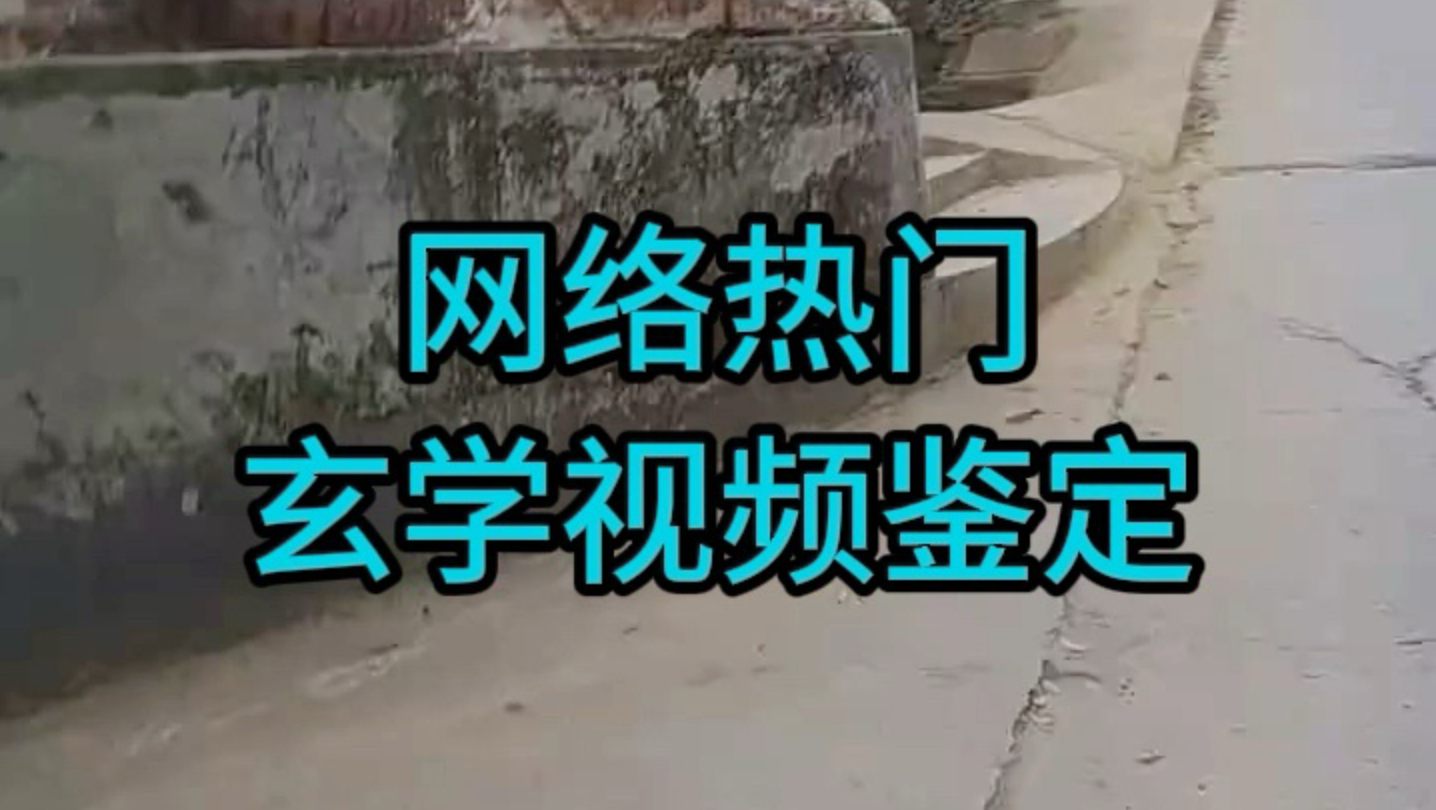 门前石龙和石虎