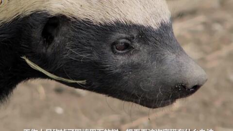 398940558b03e6dd296a98d55f5a16d160cf8a8d.jpg@480w_270h_1c