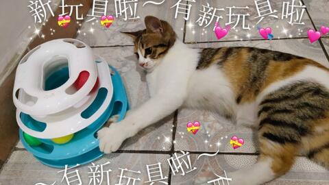 398f6a168e4e619d7cf26b22b8edde3c28434009.jpg@480w_270h_1c