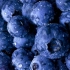 蓝莓工厂加工制作过程曝光，不洗也敢吃?