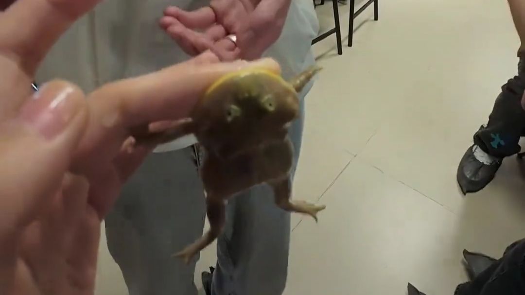 它怎么敢飞我脸的？