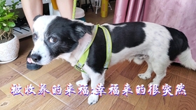 39b304c10a3ff5ac8f63c5faffef2054cc1c9dde.jpg@280w_158h_1c_100q.jpg