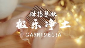 鸟之诗八音盒简谱_鸟之诗简谱(2)