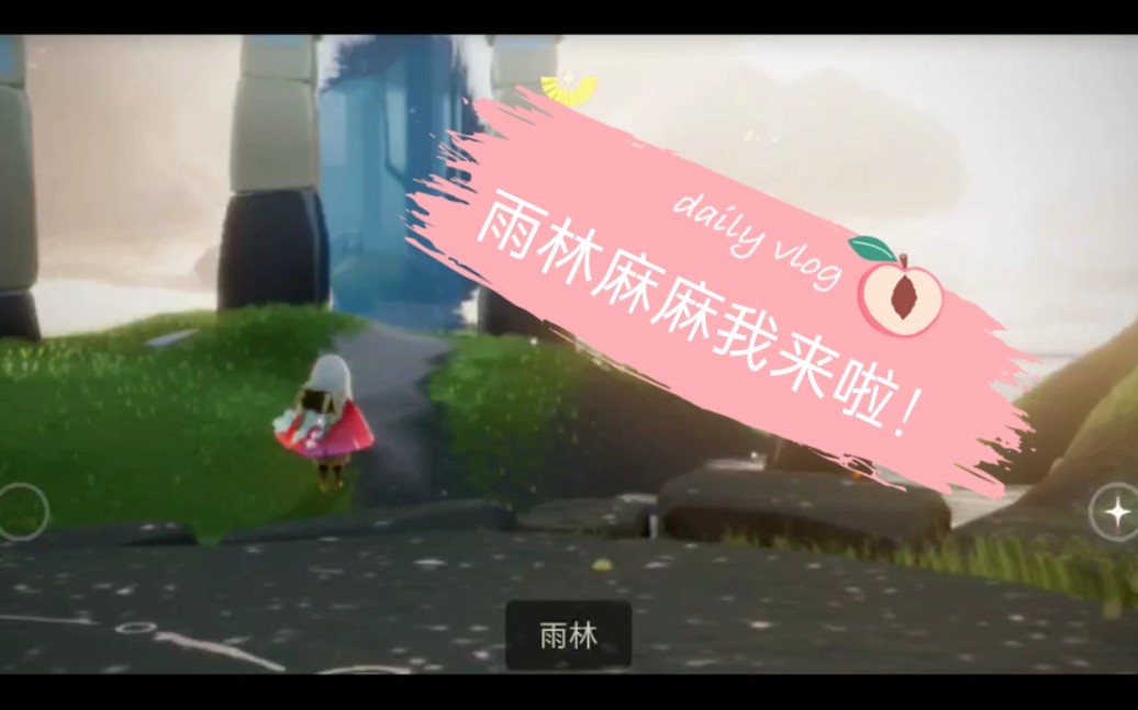 光遇高效跑图雨林篇2小时内全图22根蜡烛全收集