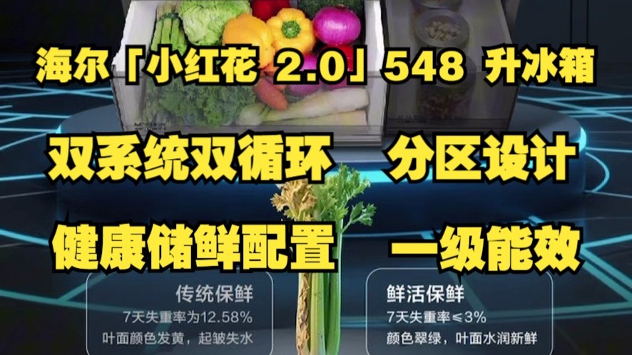 海尔小红花 2.0 冰箱新品上市好价！548 升双系统才这个价？ 548 升分区，剩菜、冻肉、水果再也不打架，省电 + 不串味，闭眼冲不亏！