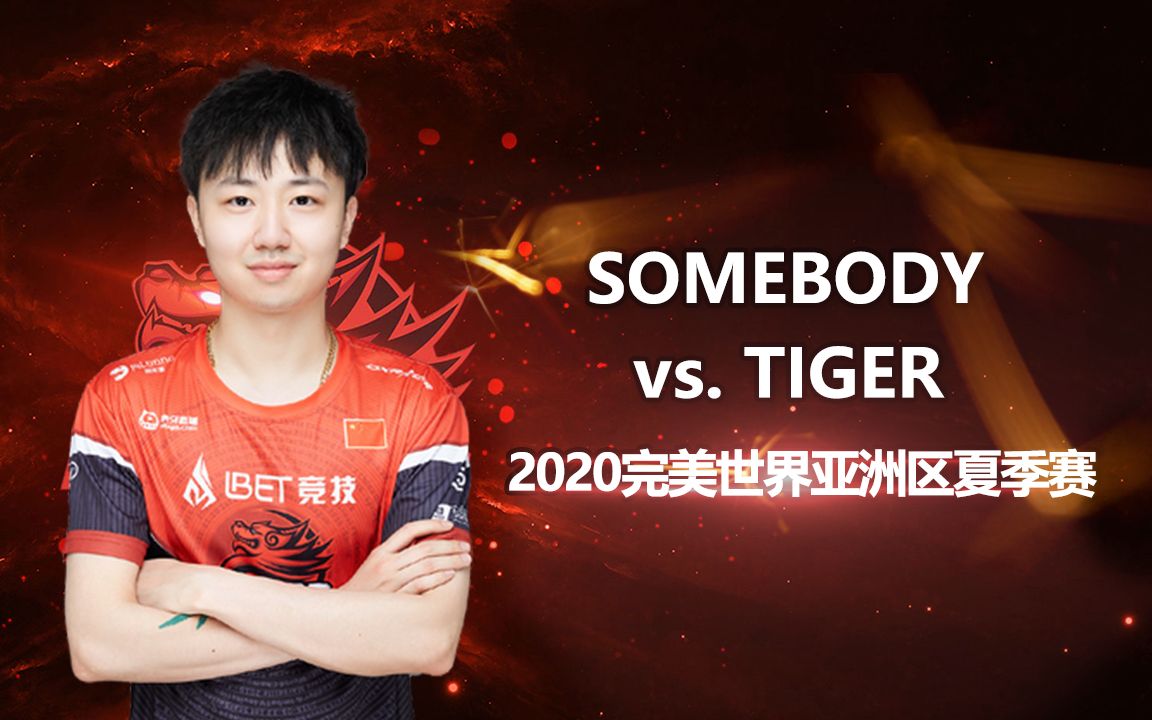 SOMEBODY vs. TIGER  Dust2 2020完美世界亚洲区夏季赛哔哩哔哩 (゜゜)つロ 干杯~bilibili