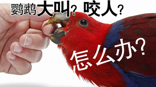 3a0c357999da01d10d85f3f17280d812ac27af74.png@310w_174h_1c_100q.jpg