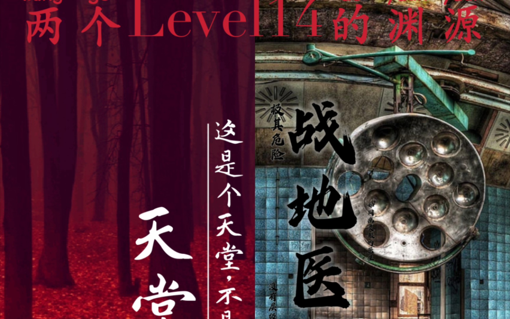 【Backrooms】（wikidot）后室 层级介绍level28 岚石要塞