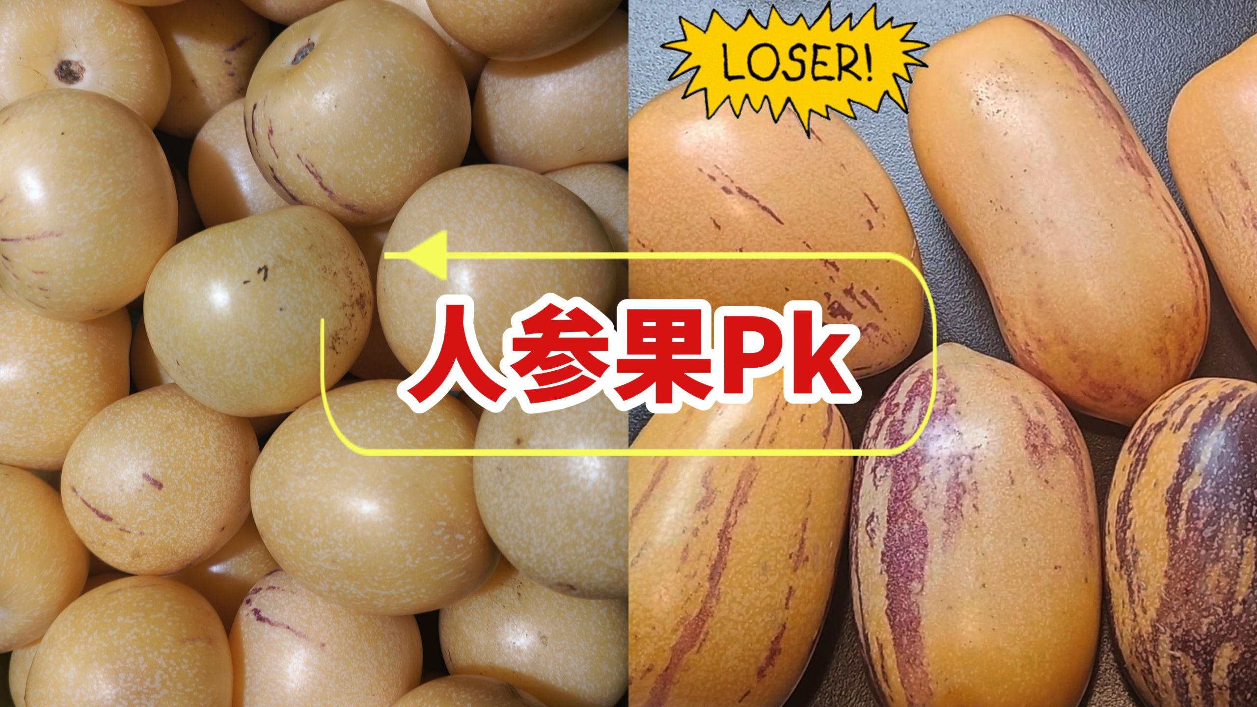 我居然爱吃人参果了！