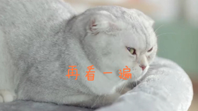 怎么样才能学会骑滑板 3a2936d85b65b8e4511bdfde28423bdeaadfb257.jpg@280w_158h_1c_100q.jpg