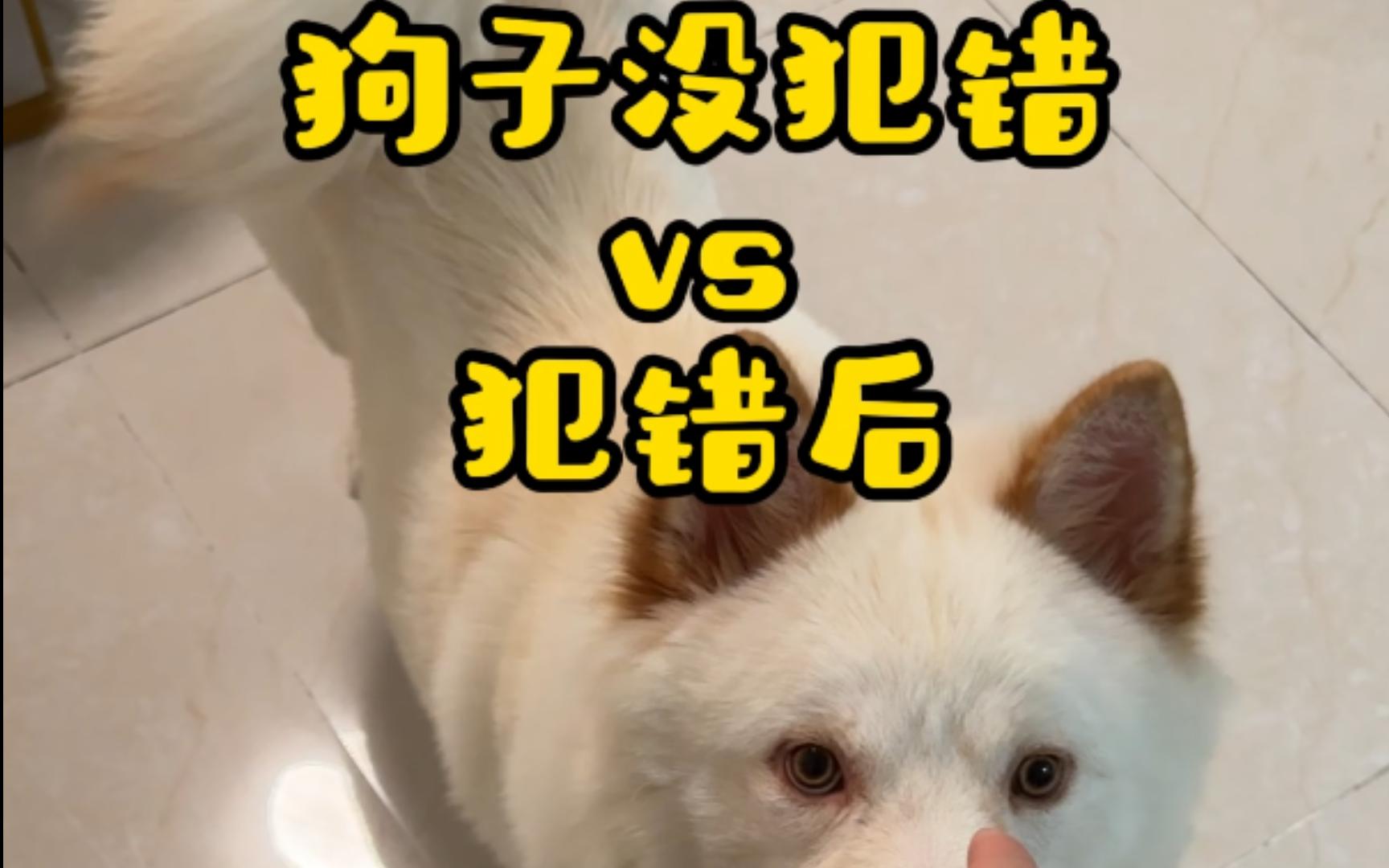 犯没犯错一目了然