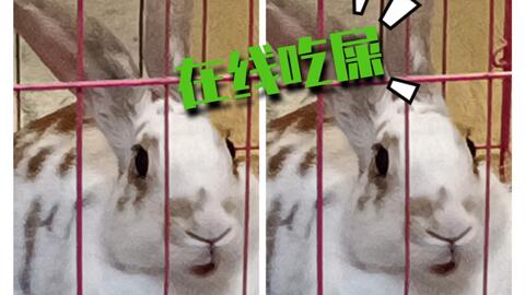 3a4b47230f754910aac13008c1b397c22fcd2af6.jpg@480w_270h_1c