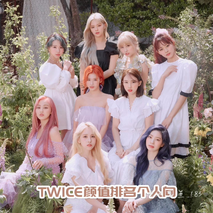 TWICE颜值排名个人向