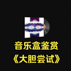 【CSGO音乐盒鉴赏】大胆尝试_CSGO