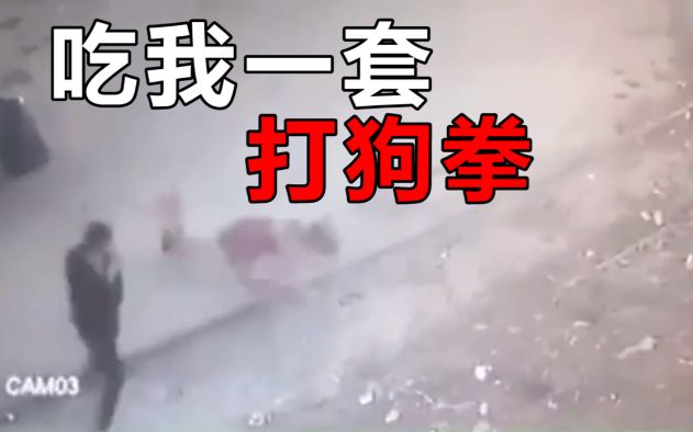 路遇两条恶犬男子大秀打狗拳法狗子一脸懵逼