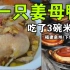 110元一盘姜母鸭，太下饭了！福建泉州的一天太欢乐了