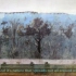 【可汗学院艺术史】| 古罗马 |壁画 | 利维亚别墅里的花园壁画（英文字幕）