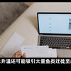北极：气候变化下的新兴经济契机