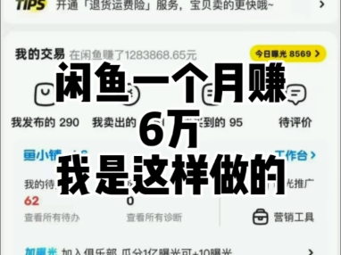 闲鱼一个月赚了六万我是这样做的